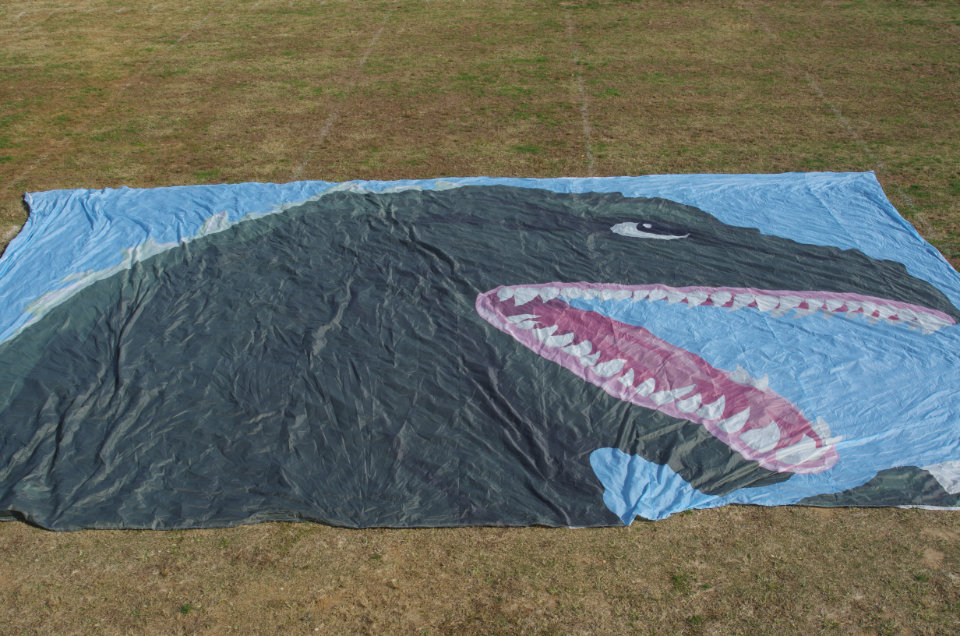 Photo of Godzilla flyover flag spread out on practice field.